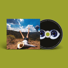 Load image into Gallery viewer, Geese - 3D Country