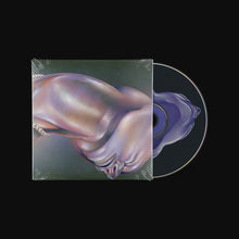 Load image into Gallery viewer, Walt Disco - The Warping