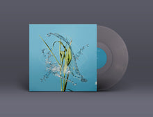 Load image into Gallery viewer, Fergus McCreadie - Stream