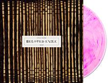 Load image into Gallery viewer, Steve Moore - Beloved Exile