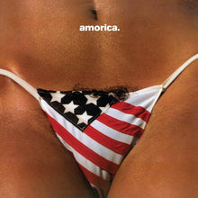 Load image into Gallery viewer, The Black Crowes - Amorica