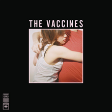 Load image into Gallery viewer, The Vaccines - What Did You Expect From The Vaccines (National Album Day)