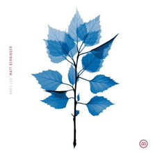 Load image into Gallery viewer, Matt Berninger - Get Sunk