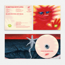 Load image into Gallery viewer, Black Country New Road - Forever Howlong