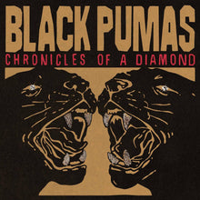 Load image into Gallery viewer, Black Pumas - Chronicles of a Diamond
