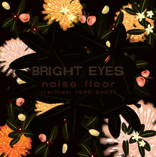 Load image into Gallery viewer, Bright Eyes - Noise Floor (Rarities: 1998-2005)