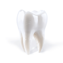 Load image into Gallery viewer, Porij - Teething