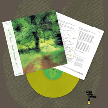 Load image into Gallery viewer, Hiroshi Yoshimura - Quiet Forest
