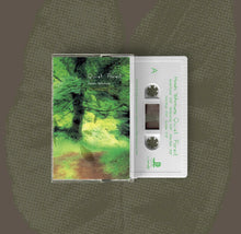 Load image into Gallery viewer, Hiroshi Yoshimura - Quiet Forest