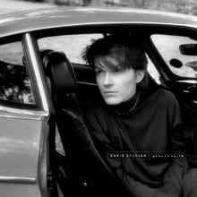 Load image into Gallery viewer, David Sylvian - Gone To Earth