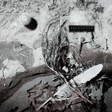 Load image into Gallery viewer, David Sylvian - Secrets Of The Beehive