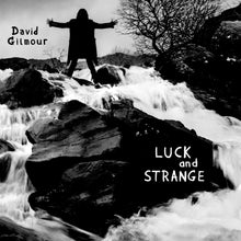 Load image into Gallery viewer, David Gilmour - Luck and Strange
