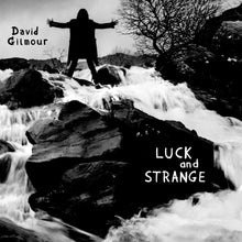 Load image into Gallery viewer, David Gilmour - Luck and Strange