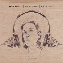 Load image into Gallery viewer, David Sylvian - Died In The Wool (Manafon Variations)