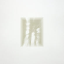 Load image into Gallery viewer, Fat White Family - Forgiveness Is Yours