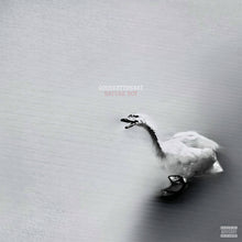 Load image into Gallery viewer, GooseByTheWay - Nature Boy