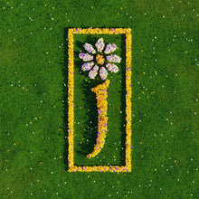 Load image into Gallery viewer, James - Nothing But Love: The Definitive Best Of