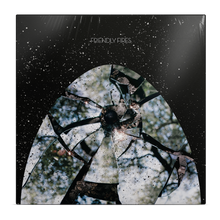 Load image into Gallery viewer, Friendly Fires - Friendly Fires (15th Anniversary Edition)