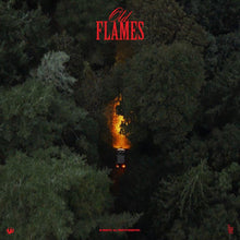 Load image into Gallery viewer, La Roux - Old Flames