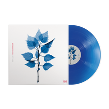 Load image into Gallery viewer, Matt Berninger - Get Sunk