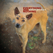 Load image into Gallery viewer, David Sylvian - Everything & Nothing