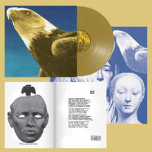 Load image into Gallery viewer, Protomartyr - Hotel Usona
