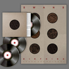 Load image into Gallery viewer, Swans - Birthing