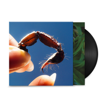 Load image into Gallery viewer, Squid - Cowards