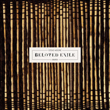 Load image into Gallery viewer, Steve Moore - Beloved Exile