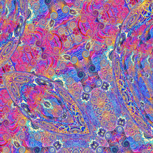 Load image into Gallery viewer, Carlos Niño & Friends - Placenta