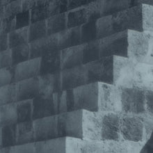 Load image into Gallery viewer, Pop Vulture - Another Success