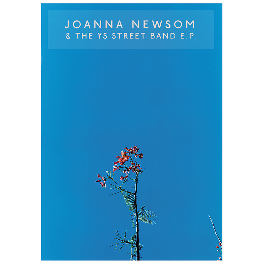 Joanna Newsom - Joanna Newsom & The Ys Street Band