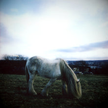 Load image into Gallery viewer, Dean McPhee - Northern Earth