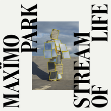 Load image into Gallery viewer, Maxïmo Park - Stream Of Life