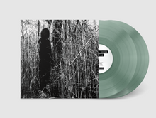 Load image into Gallery viewer, billy woods - Today, I Wrote Nothing (10 Year Anniversary Reissue)