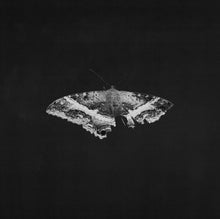 Load image into Gallery viewer, Kendrick Lamar - To Pimp a Butterfly (10th Anniversary)