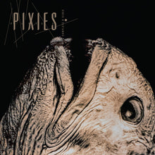 Load image into Gallery viewer, Pixies - Complete B-Sides: 1988-97