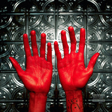 Load image into Gallery viewer, aldn - Strung Out Symphony