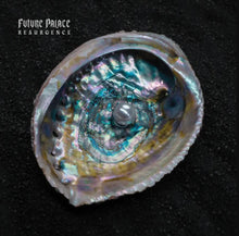 Load image into Gallery viewer, Future Palace - Resurgence