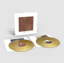 Load image into Gallery viewer, Sandwell District - End Beginnings (Gold vinyl)