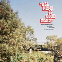 Load image into Gallery viewer, Surprise Chef - All News Is Good News