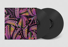 Load image into Gallery viewer, Bitchin Bajas - Bajascillators