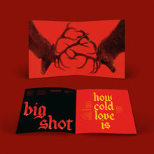 Load image into Gallery viewer, Fontaines D.C. - Skinty Fia