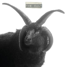 Load image into Gallery viewer, The Cult - The Cult