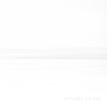 Load image into Gallery viewer, Foo Fighters - But Here We Are