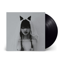 Load image into Gallery viewer, David Sylvian - Sleepwalkers