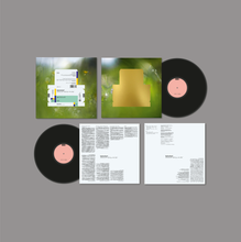 Load image into Gallery viewer, Spiritualized - Everything Was Beautiful