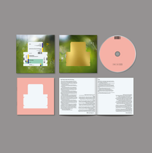 Load image into Gallery viewer, Spiritualized - Everything Was Beautiful