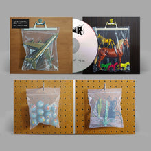 Load image into Gallery viewer, Black Country New Road - Ants From Up There