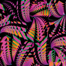 Load image into Gallery viewer, Bitchin Bajas - Bajascillators